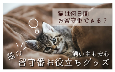 猫の留守番グッズ