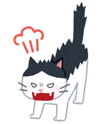 お尻をあげて何倍も尻尾が太くなった猫