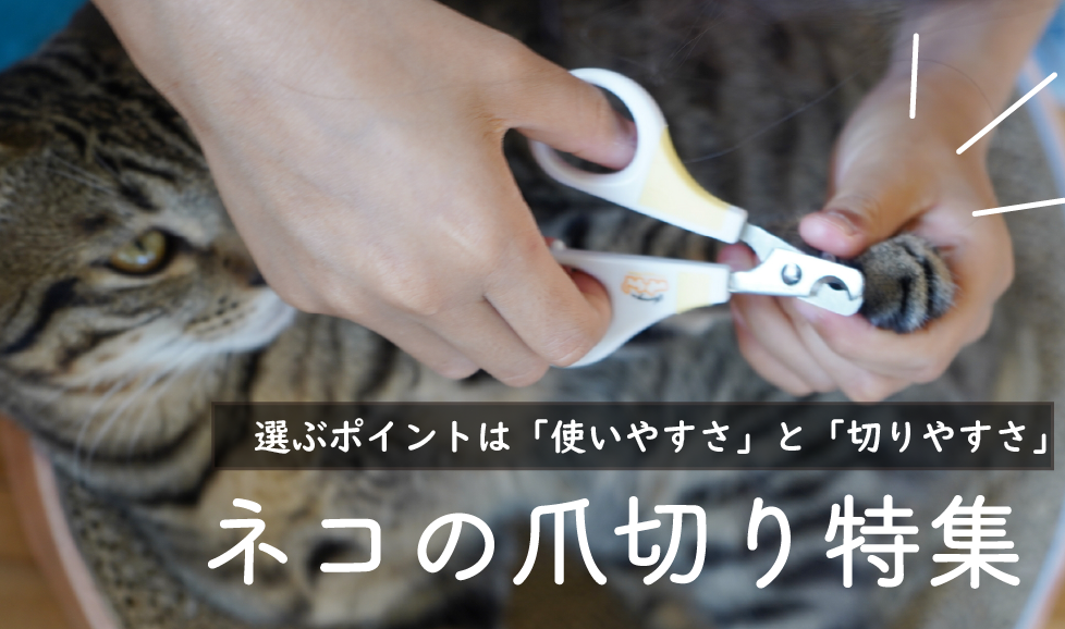 猫の爪切り特集