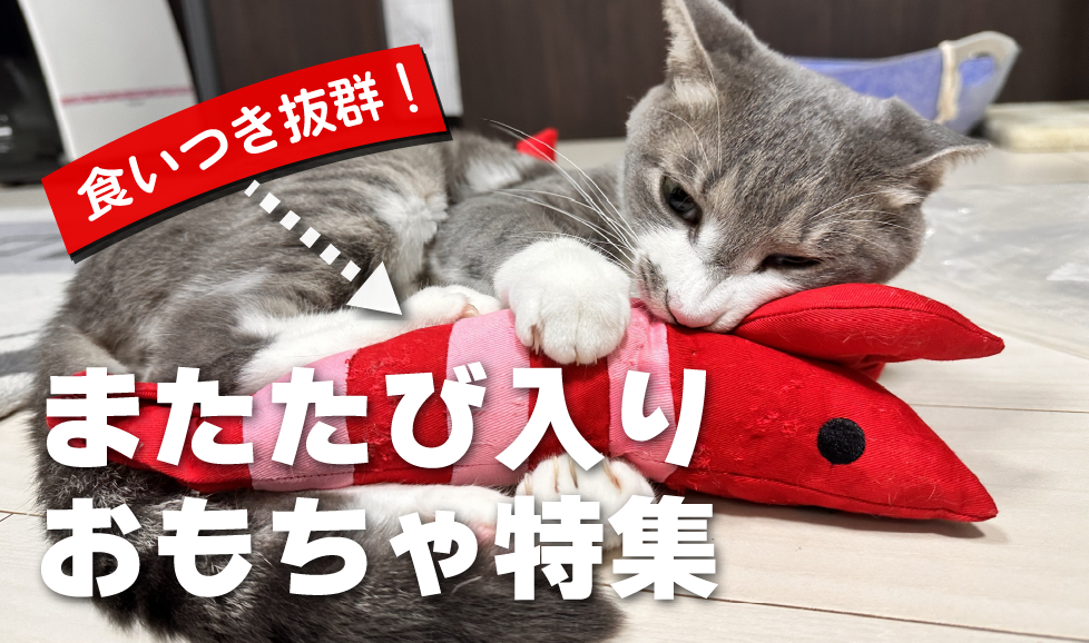 猫のマタタビおもちゃ