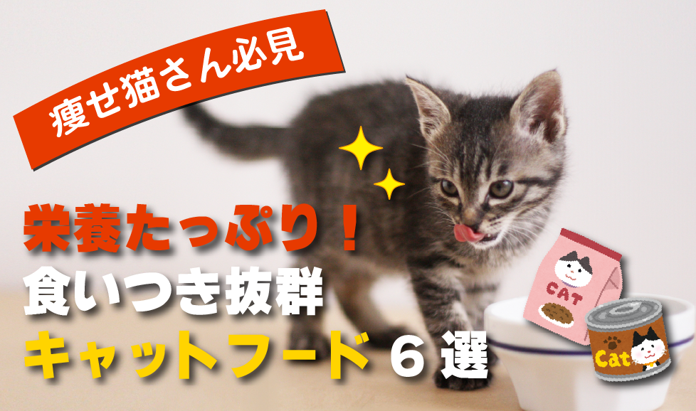 痩せ猫の為のキャットフード