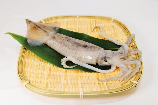 イカ