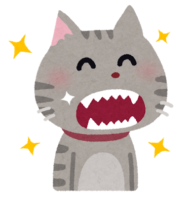 猫の歯