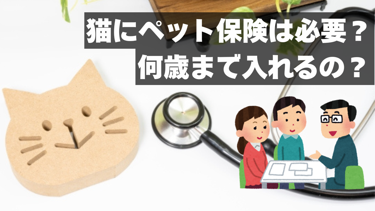 猫のペット保険