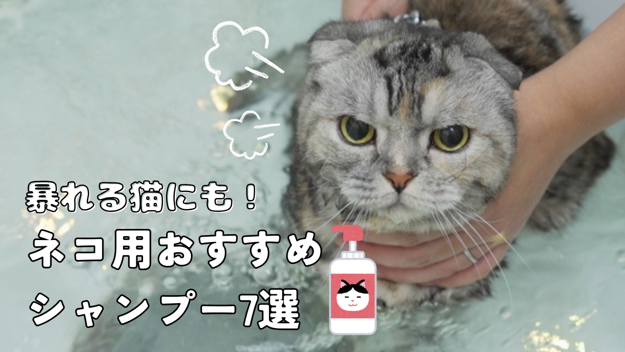 ネコ用シャンプー
