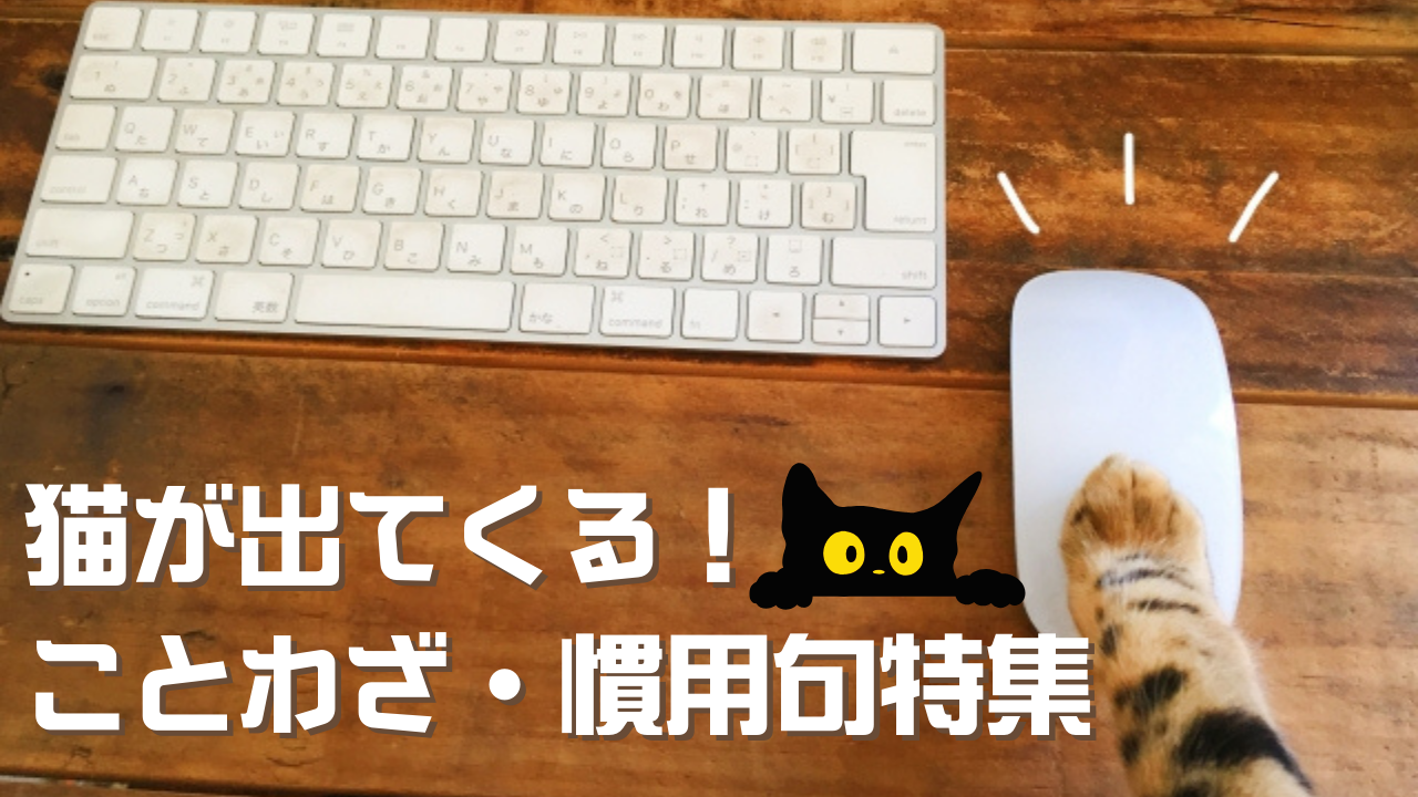 猫が出てくることわざ・慣用句