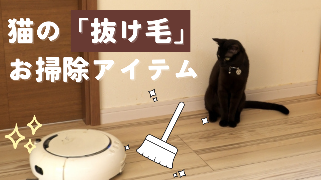 猫の抜け毛お掃除