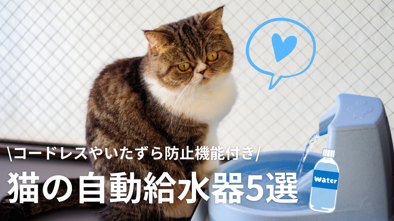 猫の自動給水器